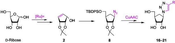 Click azide-alkyne cycloaddition for the synthesis of D-(–)-1,4-disubstituted triazolo-carbanucleosides