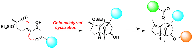 sintesis analogos englerina 1